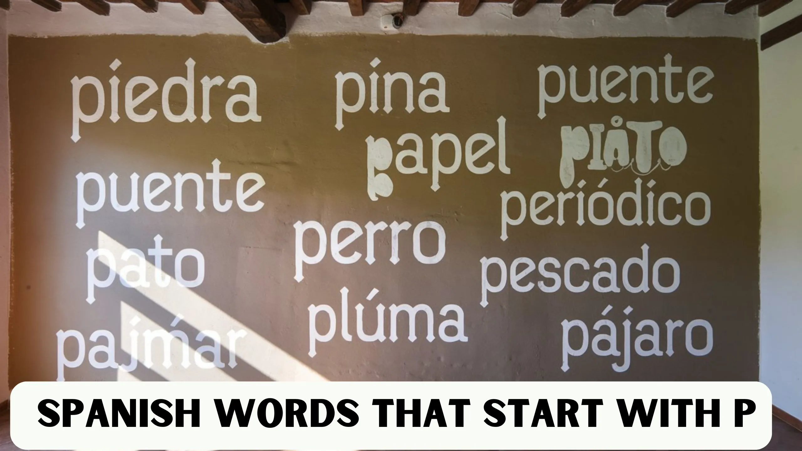 spanish words that start with p