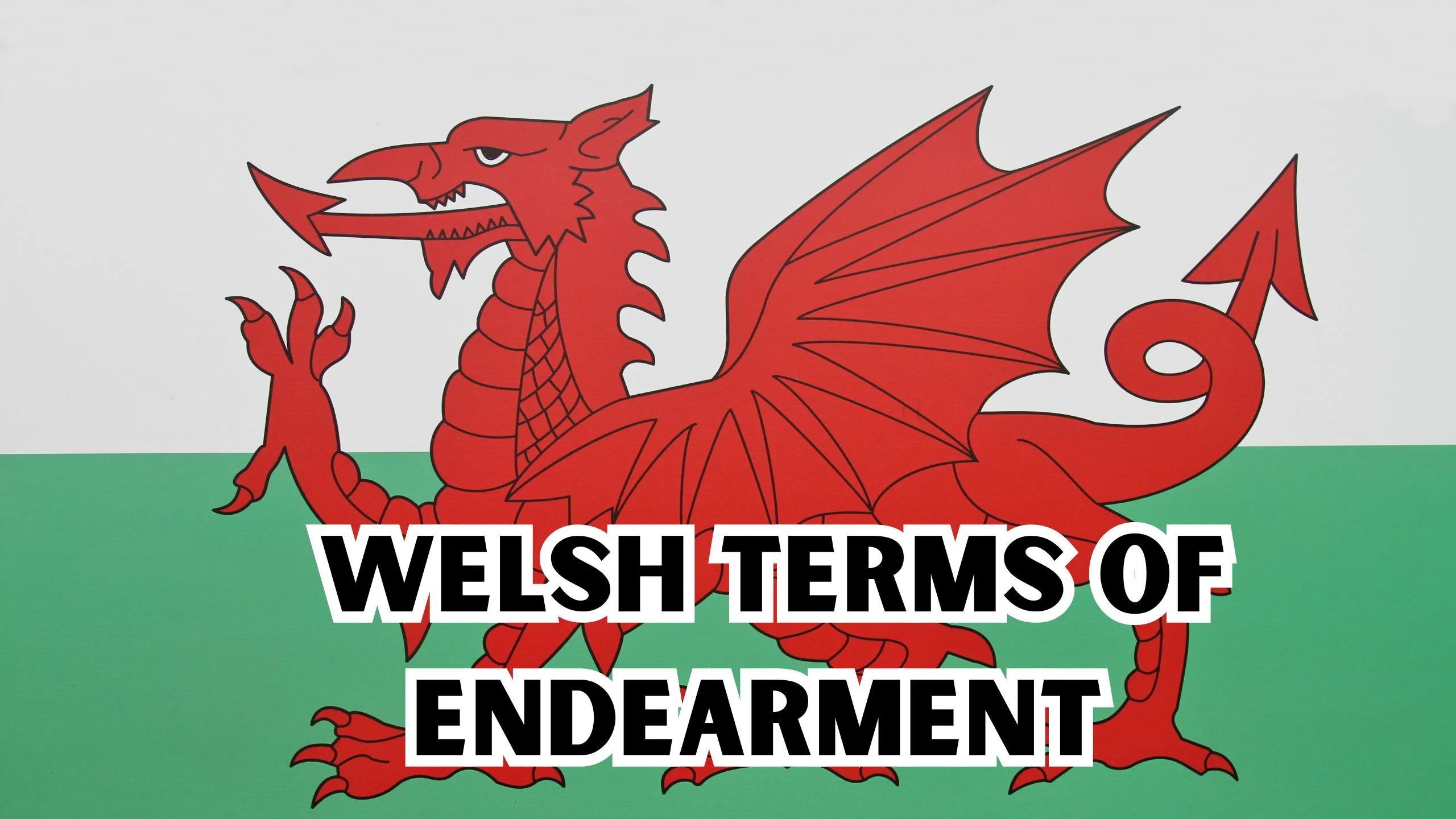 welsh terms of endearment