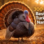 Turkey Names