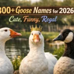 goose names